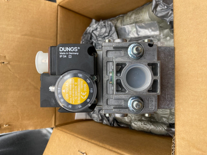ECOFLAM 3123525 GT-D1-MBDLE407-RP20-170-250  DUNGS MB-DLE 407 B01 S50