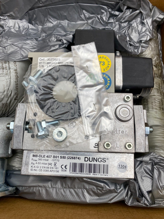 ECOFLAM 3123525 GT-D1-MBDLE407-RP20-170-250  DUNGS MB-DLE 407 B01 S50