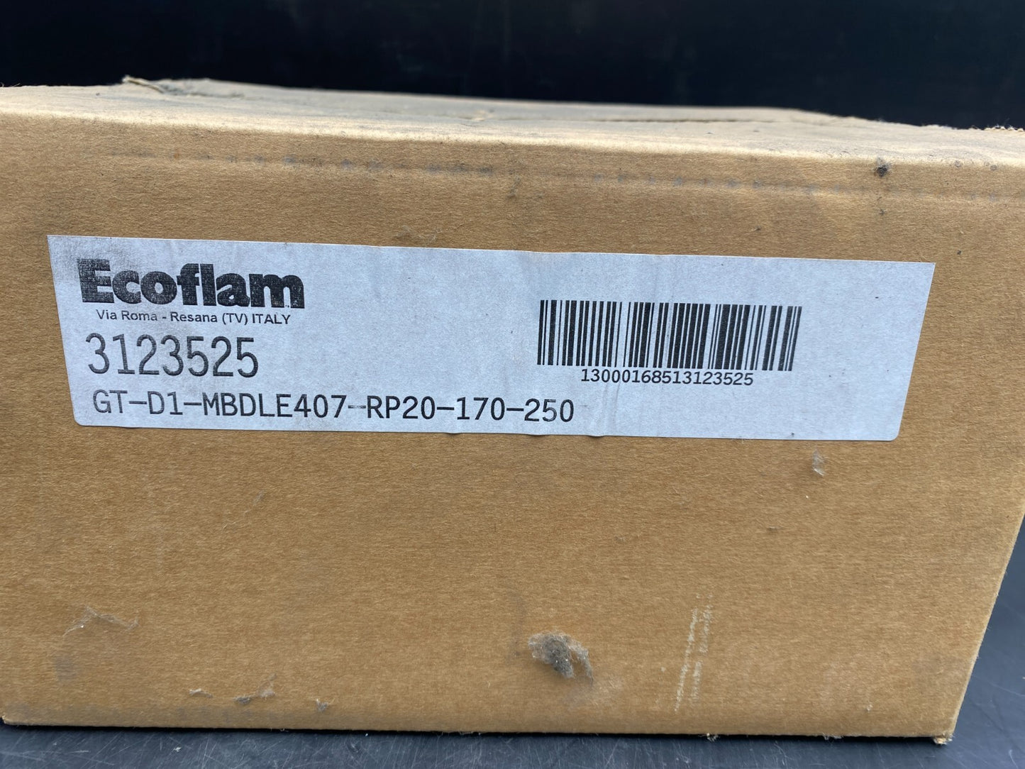 ECOFLAM 3123525 GT-D1-MBDLE407-RP20-170-250  DUNGS MB-DLE 407 B01 S50
