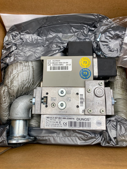 ECOFLAM 3123525 GT-D1-MBDLE407-RP20-170-250  DUNGS MB-DLE 407 B01 S50