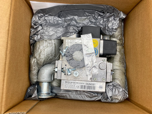 ECOFLAM 3123525 GT-D1-MBDLE407-RP20-170-250  DUNGS MB-DLE 407 B01 S50