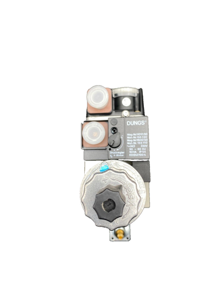 ECOFLAM 3123960 GT-D2-MBZRDLE405-RP20-40-120 DUNGS MB-ZRDLE 405 B01 S50