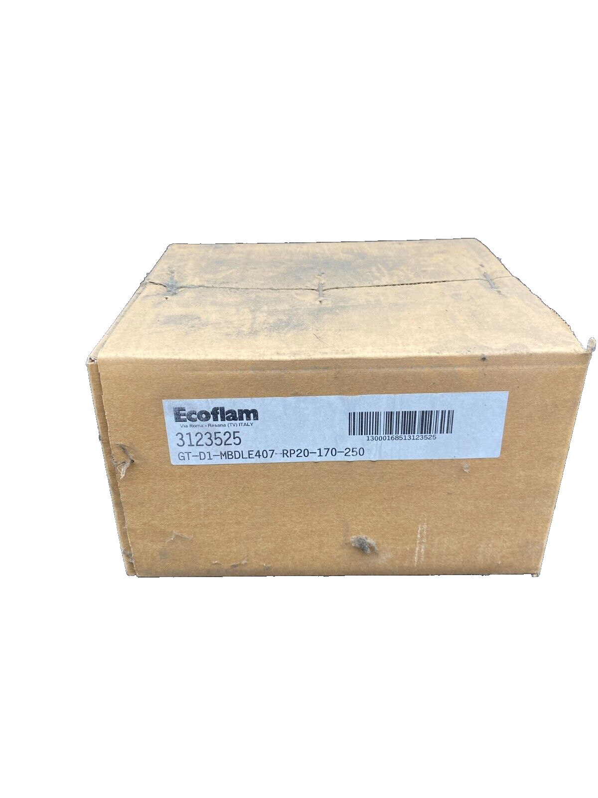 ECOFLAM 3123525 GT-D1-MBDLE407-RP20-170-250  DUNGS MB-DLE 407 B01 S50