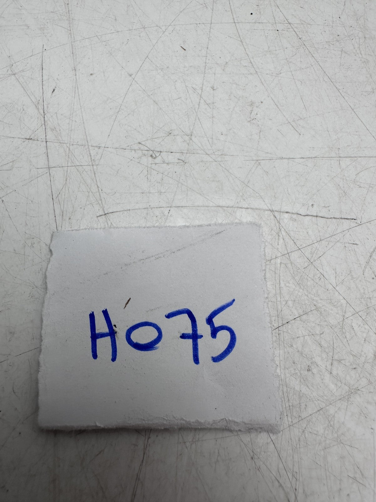 Image #5